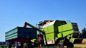 Дожди в Волгоградской области затрудняют уборку зерновых